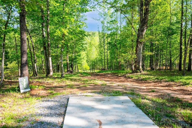 1132 Bancroft, Goode, VA 24556 - view of yard featuring a forest view and a patio