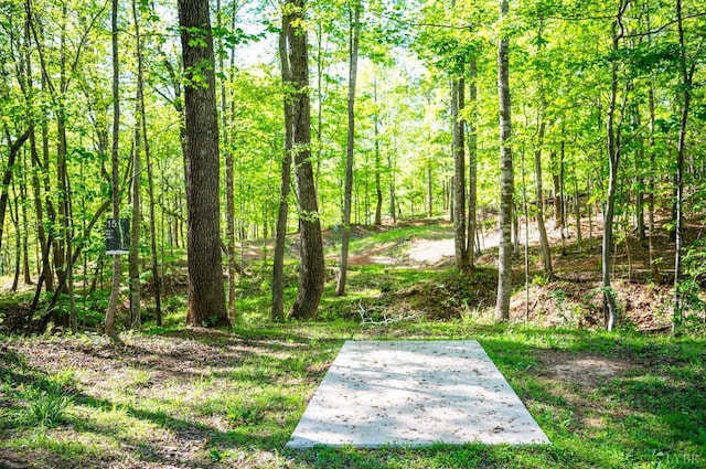 1132 Bancroft, Goode, VA 24556 - exterior space