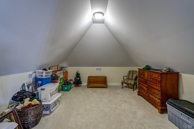 107 Emory Way, Amherst, VA 24521 - bonus room with light colored carpet, lofted ceiling, baseboards, and visible vents