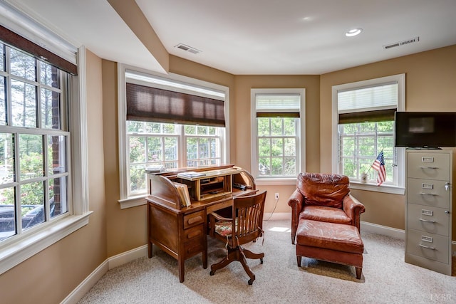 107 Emory Way, Amherst, VA 24521 - photo 61