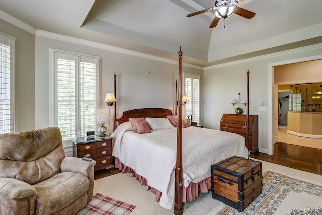 107 Emory Way, Amherst, VA 24521 - bedroom with multiple windows, a raised ceiling, and crown molding