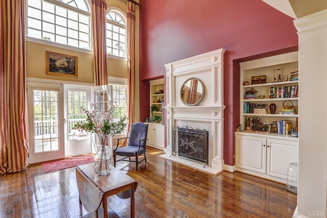 107 Emory Way, Amherst, VA 24521 - sitting room featuring a fireplace, a high ceiling, a wealth of natural light, and wood finished floors