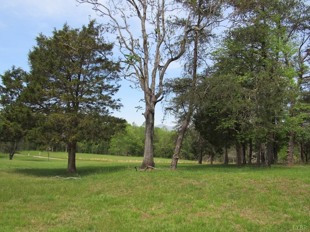 238 My Way, Amherst, VA 24521 - view of grassy yard