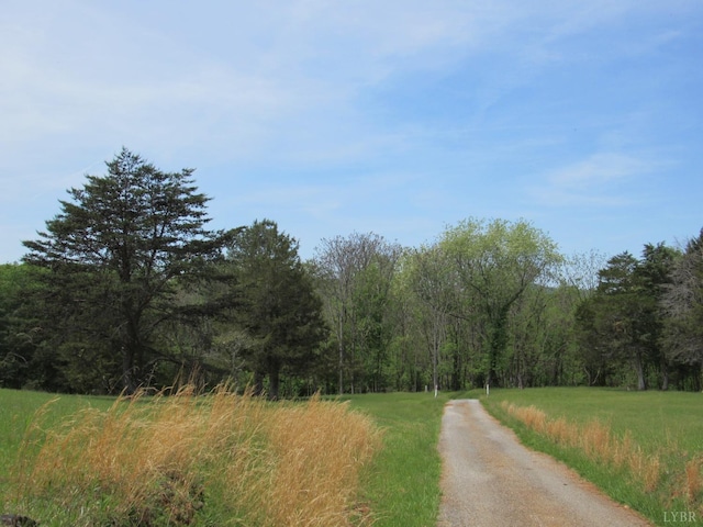 238 My Way, Amherst, VA 24521 - view of road featuring a forest view