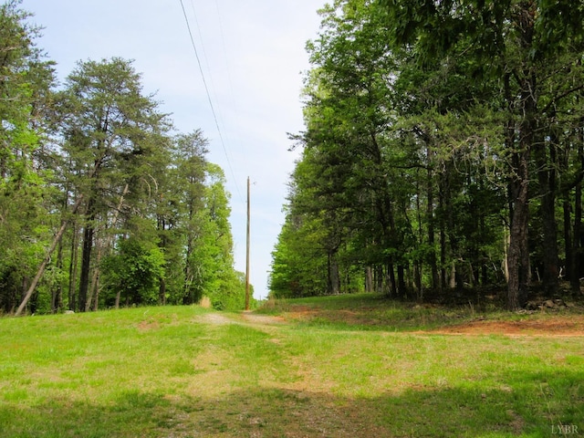 238 My Way, Amherst, VA 24521 - view of street