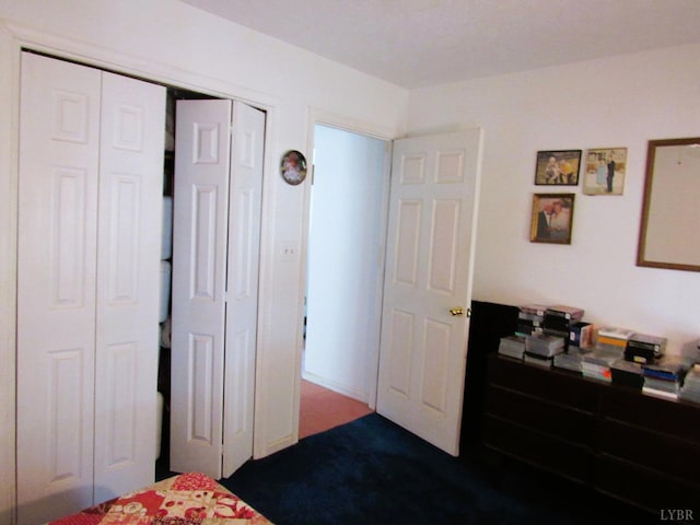 238 My Way, Amherst, VA 24521 - carpeted bedroom with a closet