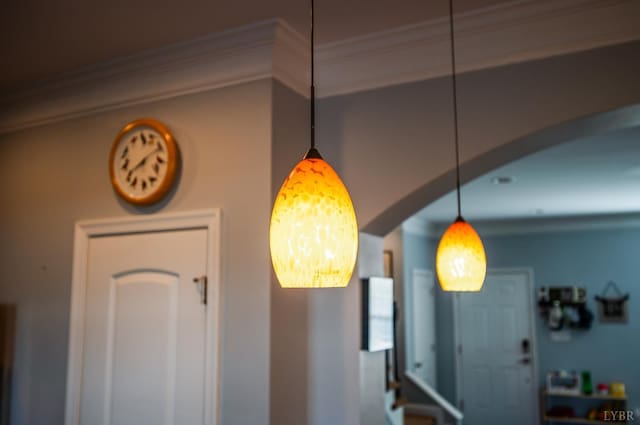 44 Sprouse Ln, Lynchburg, VA 24502 - detailed view of ornamental molding
