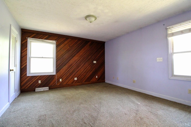 3958 Campbell Hwy, Lynchburg, VA 24501 - empty room featuring baseboards, healthy amount of natural light, wood walls, and carpet