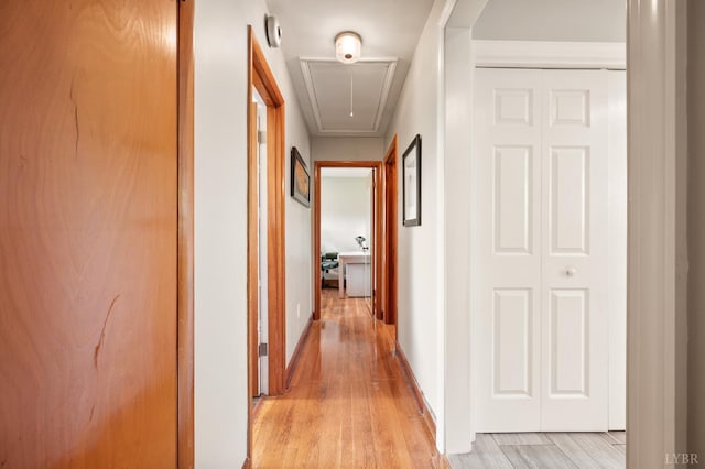 1206 Cedar Hill Dr, Lynchburg, VA 24502 - corridor with attic access and light wood-style floors