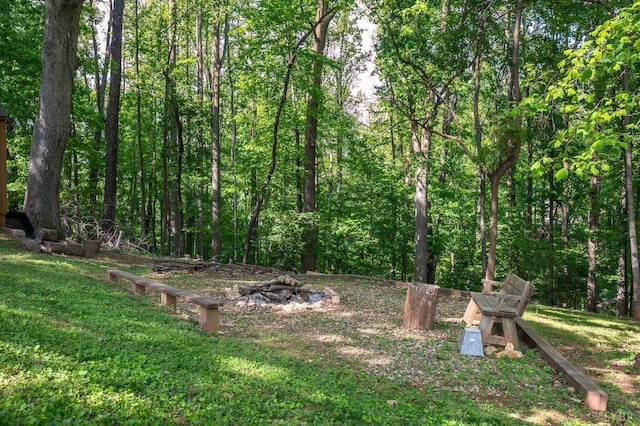 1206 Cedar Hill Dr, Lynchburg, VA 24502 - view of yard featuring a wooded view