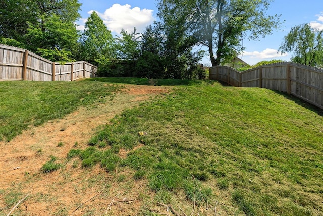 4600 Greenwood Dr, Lynchburg, VA 24502 - view of yard