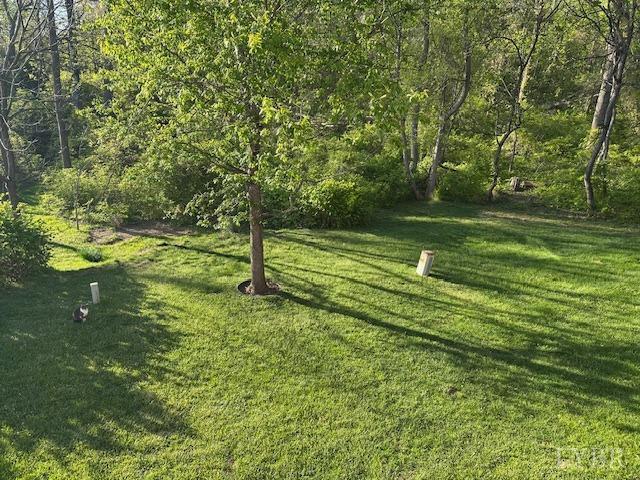 202 Rustwood Ct, Rustburg, VA 24588 - view of yard featuring a wooded view