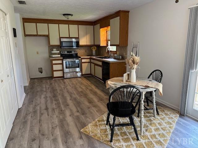 202 Rustwood Ct, Rustburg, VA 24588 - kitchen featuring a sink, appliances with stainless steel finishes, wood finished floors, and a healthy amount of sunlight