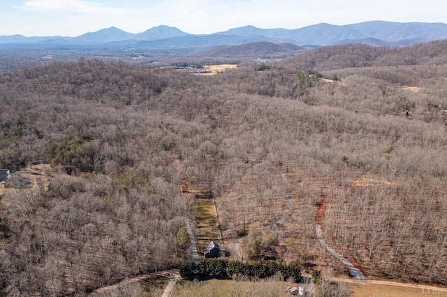 2 Venturous Trl, Goode, VA 24556 - photo 7