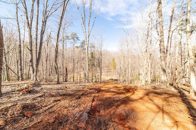 2 Venturous Trl, Goode, VA 24556