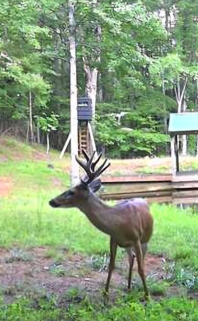 2 Venturous Trl, Goode, VA 24556