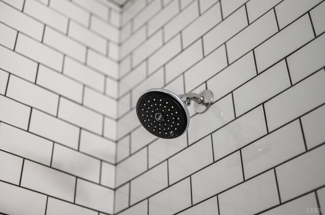 1205 Bradford Crossing Pl, Goode, VA 24556 - details featuring a tile shower and a package area