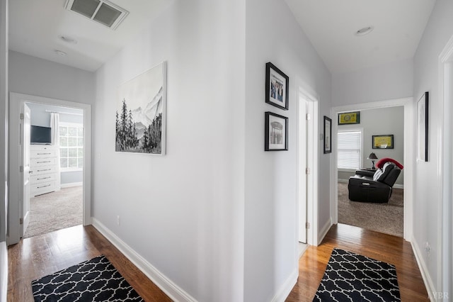 1205 Bradford Crossing Pl, Goode, VA 24556 - hallway featuring visible vents, baseboards, wood finished floors, and a wealth of natural light