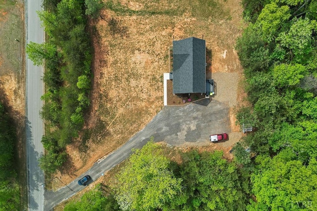 208 Samson Way, Madison Heights, VA 24572 - view from above of property