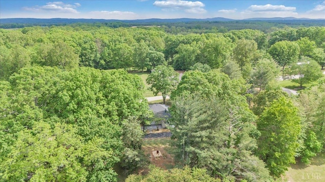 1433 Chalk Level Rd, Chatham, VA 24531 - photo 57