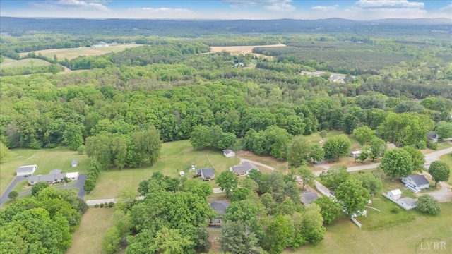 1433 Chalk Level Rd, Chatham, VA 24531 - photo 64