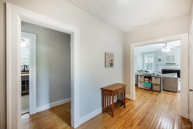 4205 Tremont, Lynchburg, VA 24502 - hallway featuring light wood-type flooring and baseboards