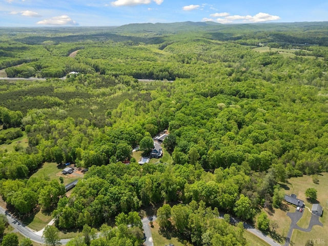 95 Rhage Ln, Lynchburg, VA 24504 - drone / aerial view of a forest