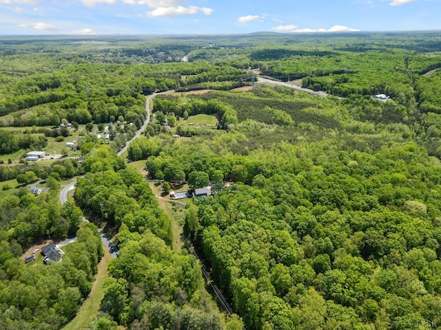 95 Rhage Ln, Lynchburg, VA 24504 - aerial view of a forest