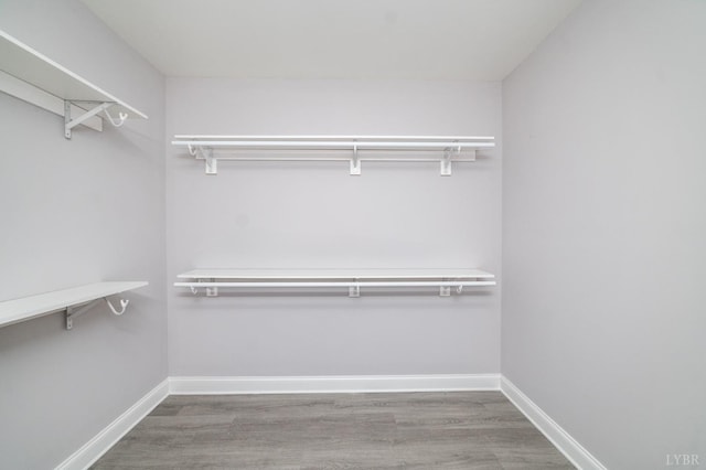 1051 Wills Way, Forest, VA 24551 - walk in closet with wood finished floors