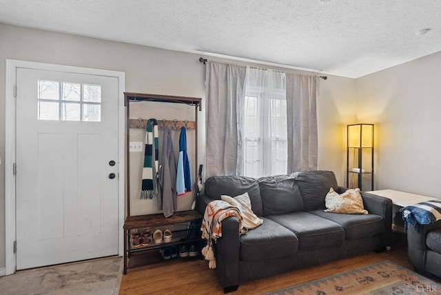206 Simsbury Ln, Forest, VA 24551 - living area featuring plenty of natural light, wood finished floors, and a textured ceiling