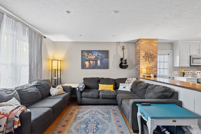 206 Simsbury Ln, Forest, VA 24551 - living area with light wood-type flooring and a textured ceiling