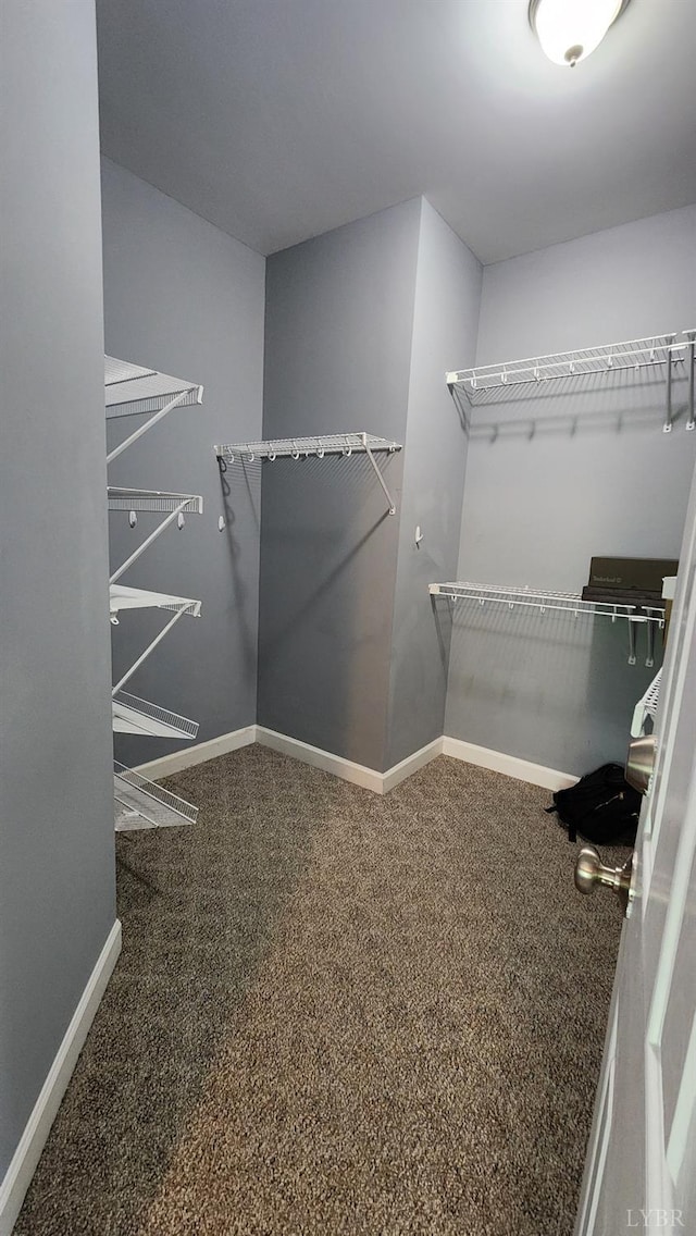 1057 Barrow Hills Dr, Moneta, VA 24104 - spacious closet featuring carpet floors