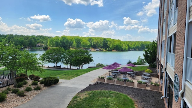 1057 Barrow Hills Dr, Moneta, VA 24104 - water view