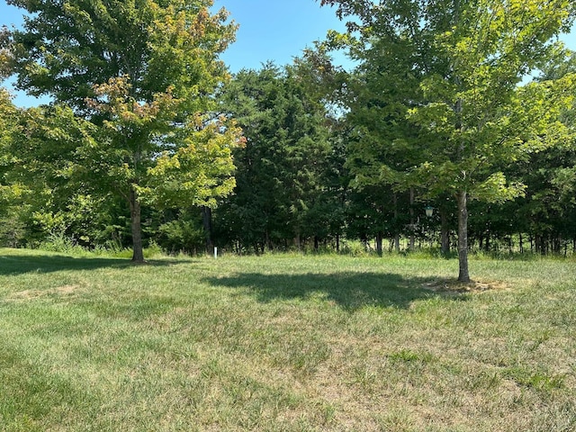 1057 Barrow Hills Dr, Moneta, VA 24104 - view of yard