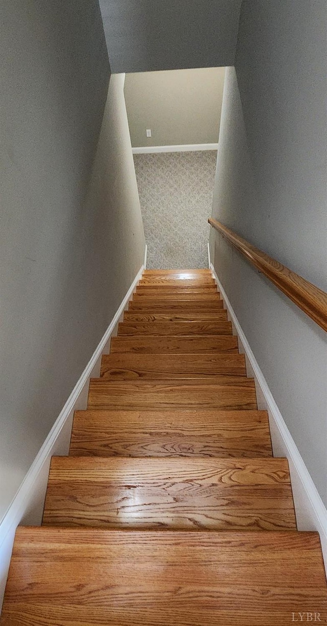 1057 Barrow Hills Dr, Moneta, VA 24104 - staircase with baseboards
