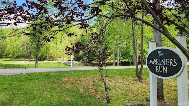 1057 Barrow Hills Dr, Moneta, VA 24104 - view of home's community with a yard and driveway