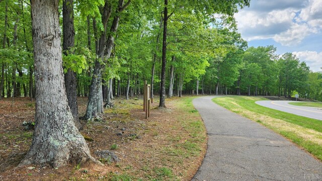 1057 Barrow Hills Dr, Moneta, VA 24104 - view of street