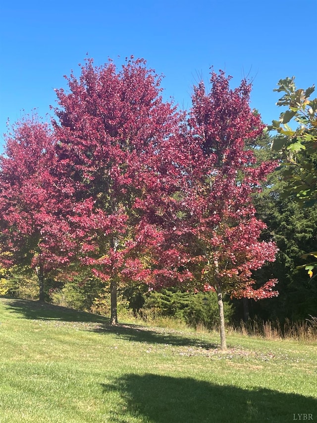 1057 Barrow Hills Dr, Moneta, VA 24104 - view of green lawn
