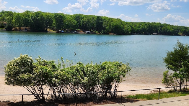 1057 Barrow Hills Dr, Moneta, VA 24104 - water view