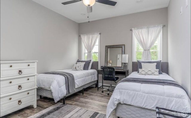 3008 Hill St Unit 313, Lynchburg, VA 24501 - bedroom featuring multiple windows, wood finished floors, and ceiling fan