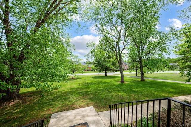 302 Spring Lake Rd, Forest, VA 24551 - view of yard