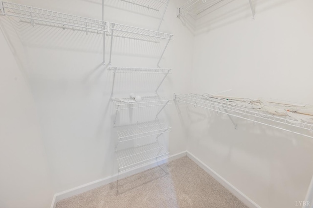 302 Spring Lake Rd, Forest, VA 24551 - spacious closet with carpet floors