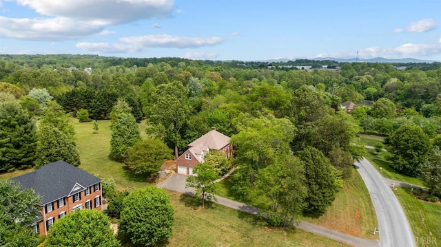302 Spring Lake Rd, Forest, VA 24551 - birds eye view of property featuring a view of trees