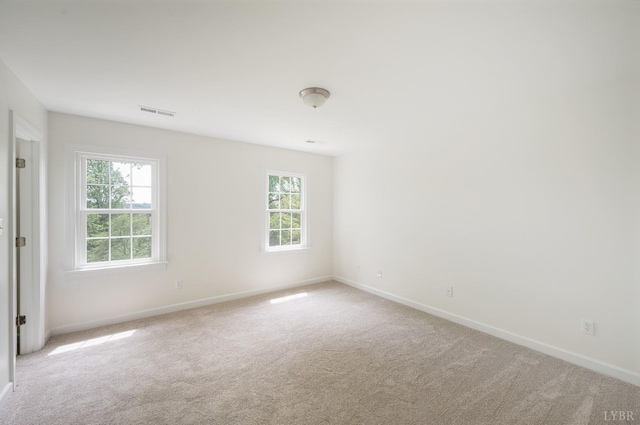 302 Spring Lake Rd, Forest, VA 24551 - spare room with a healthy amount of sunlight, baseboards, and light carpet