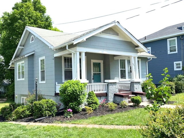 306 Oakridge Blvd, Lynchburg, VA 24502 - photo 4