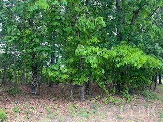 0 Delta Dr, Hurt, VA 24563