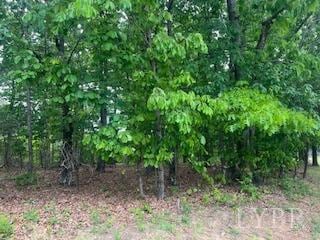 0 Delta Dr, Hurt, VA 24563