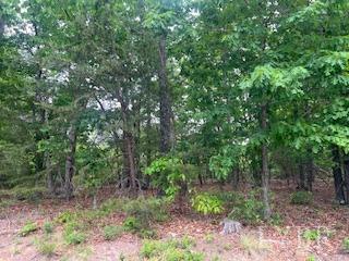 0 Delta Dr, Hurt, VA 24563