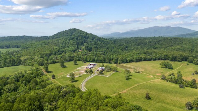 1024 Sunset Dr, Amherst, VA 24521 - photo 88