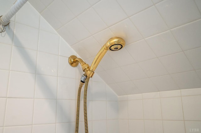 1348 Lake Shore Dr, Forest, VA 24551 - bathroom view of tiled shower